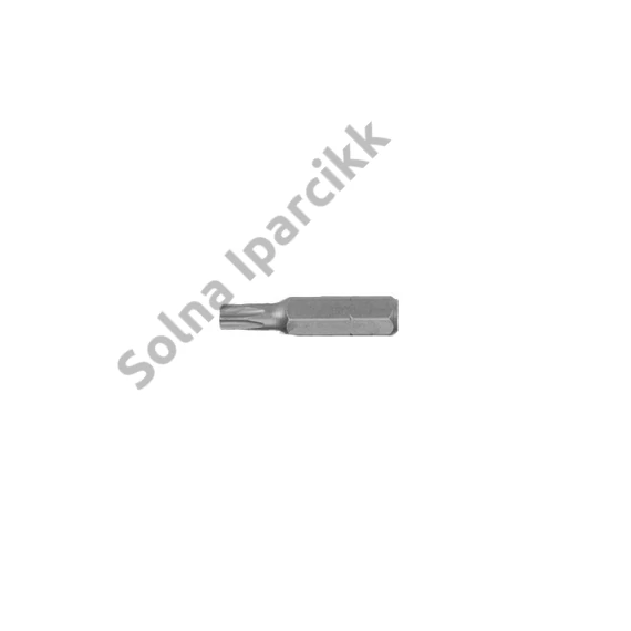 HANS 1/4" TORX bit hegy S2 T8x30 041-3T8