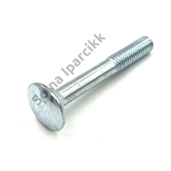 Kapupánt csavar 10x40 mm 