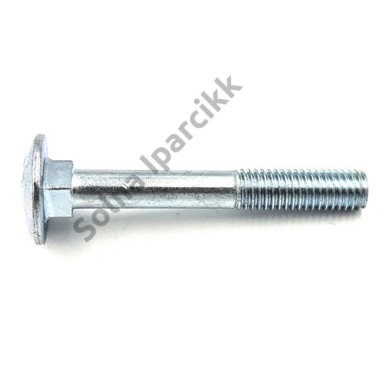 Kapupánt csavar 10x40 mm 